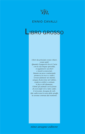 LIBRO GROSSO