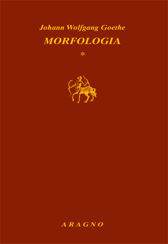 MORFOLOGIA