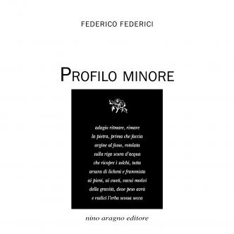 PROFILO MINORE